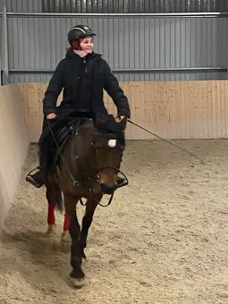 Klisna Pony B - 5