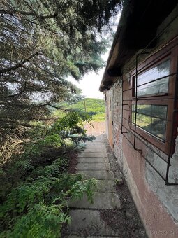 Prodám zahradu s chatkou 25m2 - Dolní Kounice - 5