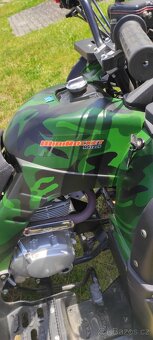 Minirocket motors 250 - 5