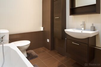 Pronájem 1+kk na ul. Horácké nám., Brno - Řečkovice - 5