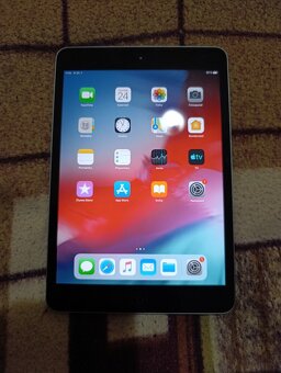 Apple iPad Mini 2 / 16GB / Space Gray - 5