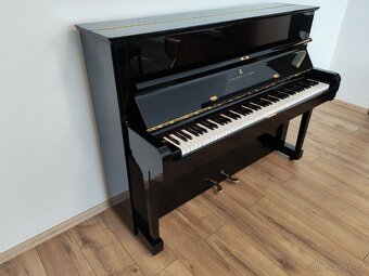 Steinway and Sons dovoz celá ČR - 5