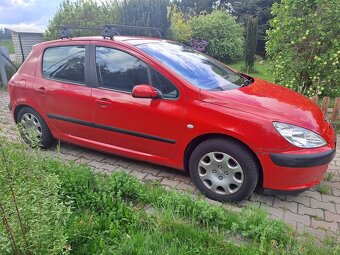Peugeot 307 - 5