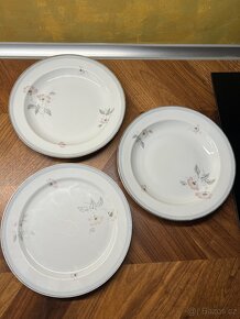 Německé porcelánové talíře - 5