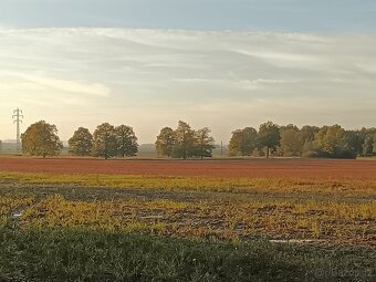 Pištín/ Češnovice Ostatní plocha 11644m2 - 5