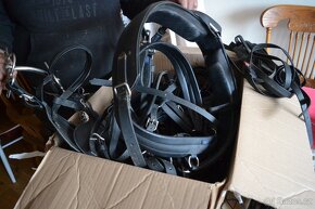 sulka riksa gig dvojkolka jako maratonak/morgan kone popruhy - 5