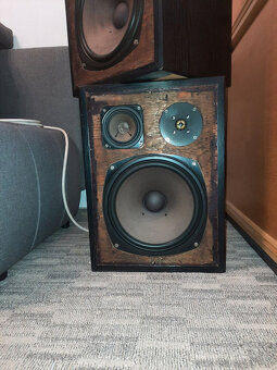 Masivní reprobedny - 5