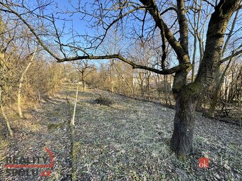 Prodej, domy/chata, 21 m2, Brněnské Ivanovice E136, 62000 Br - 5