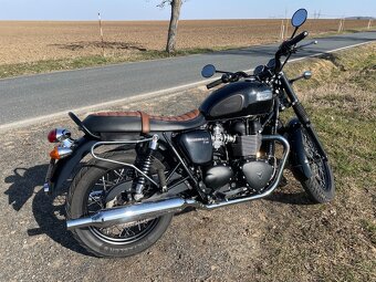 Triumf Bonneville t100 (2015) - 5