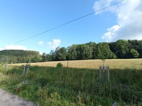Louka o výměře 50.034m2 s výhledem na Černou horu - Vrchlabí - 5