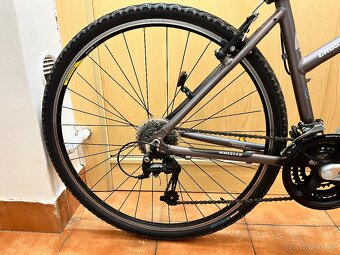 Wheeler Cross 36(TOP STAV) - 5