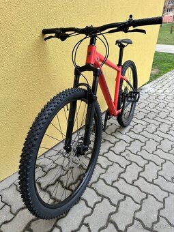 Pells razzer 2025 - 5