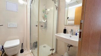 Pronájem 1+kk s balkonem na ul.Lidická, Brno - Veveří - 5