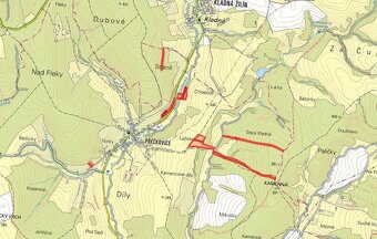 Les, prodej, Přečkovice, Bojkovice, Uherské Hradiště - 5