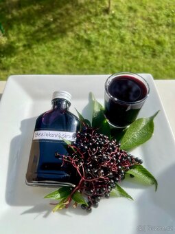 Čerstvý domácí bezinkový sirup - 5