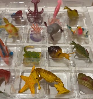 Adventní kalendář - mořský svět - 5