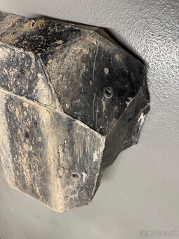 Alu kryt motoru pro Yamaha Tenere 700 XTZ690 - 5