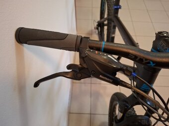 Bulls Cross Flyer - 5