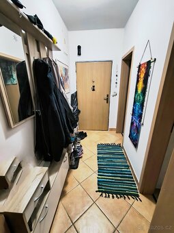 Zařízený byt 1+kk s lodžií, 33m2, Bukov, Baráčnická - 5