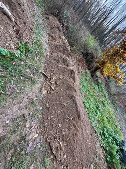 Hlína zemina za odvoz Řideč Šternberk - 5