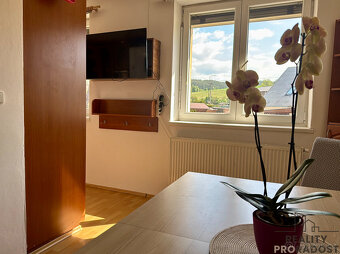 Prodej, byt 3kk, 80m2, Březová nad Svitavou - 5