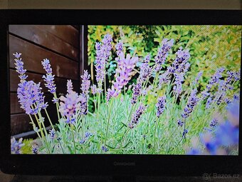 Televize 32 palců - 5