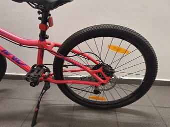 AMULET 24 Youngster - 5