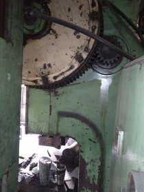 Lis výstředníkový Rus 100 - 5