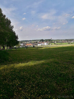 Pastevní ustájení České Budějovice - 5