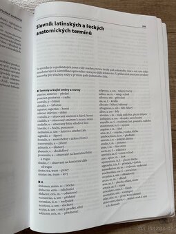 Přehled anatomie - 5