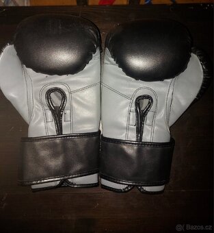 Boxovaci pitel 40kg a rukavice - 5