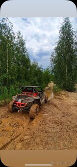 Arctic Cat Wildcat 1000 - 5