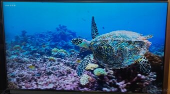 Smart Qled 4K UHD TCL tv 65" 164 cm - 5