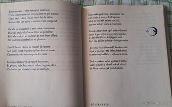 Kniha Záludná luna - P. Verlaine - 5