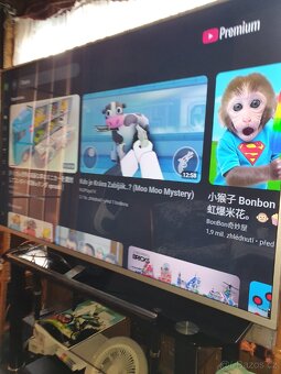 Prodám velkou 4K UHD Android Smart TV Philips 149cm,OnePlay - 5