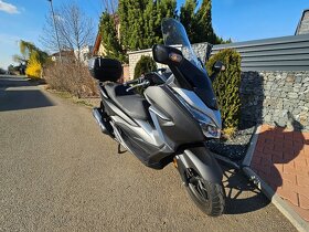 Honda Forza 300 r.v.2020 - 5