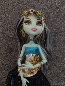 Panenky Monster high 8 - 5