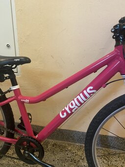 Dětské kolo Cygnus - 5