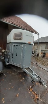 Přívěs na 2 koně s laminátovou střechou - 5