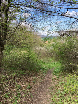 Pronájem (možný i prodej na splátky) 6.917 m2 Jestřabice - 5