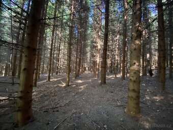 Lesní pozemek a pozemek ostatní plocha Horní Lánov - 5