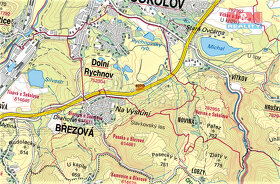 Prodej lesa, 5543 m², Dolní Rychnov - 5