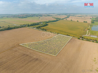 Prodej komerčního pozemku, 22063 m², Kačice - 5