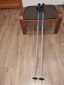 Sjezdové hole - 5