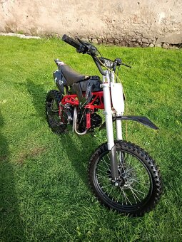 Pitbike Sky 125ccm 17/14 - 5