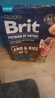 Labrador čierny - 5