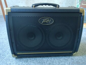Peavey Ecoustic E 208 - 5
