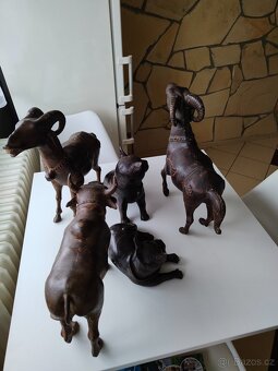 Ázijské zvieratá - 5