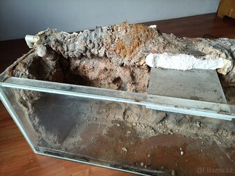 akvárium, terárium - 5