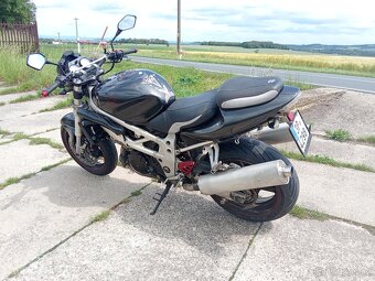 Suzuki TL 1000 S - 5